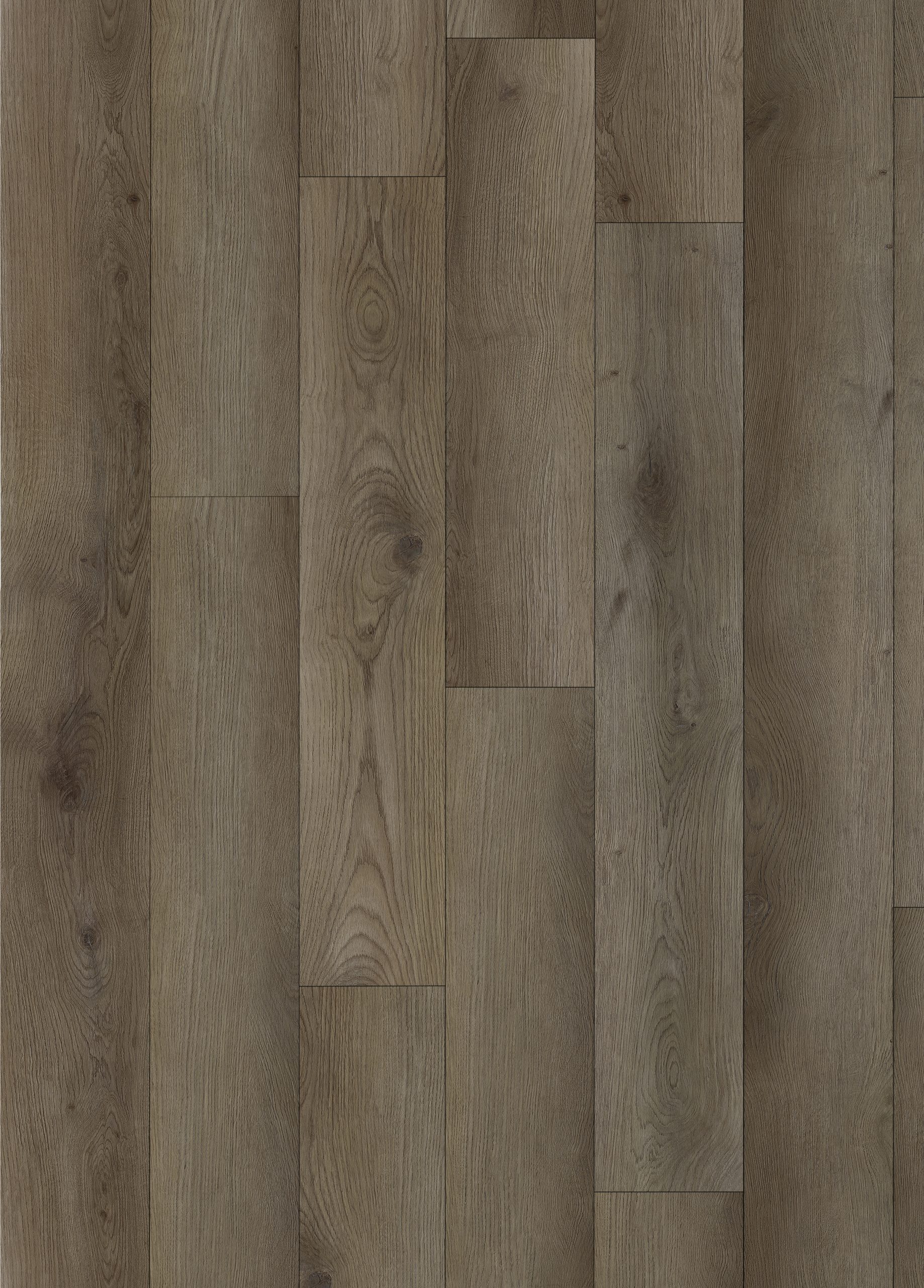 Vista - Bari